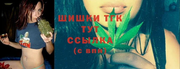 гашик Бронницы