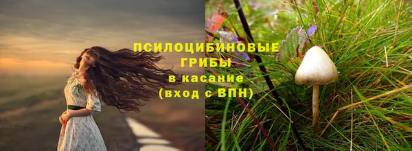амф Бугульма