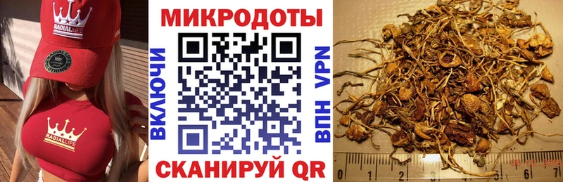 Псилоцибиновые грибы Magic Shrooms  Череповец 